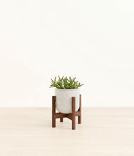 Load image into Gallery viewer, Hammered Ivory stand:walnut
