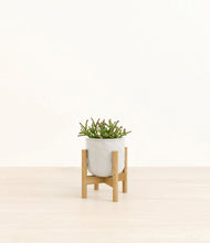 Load image into Gallery viewer, Hammered Ivory stand:bamboo

