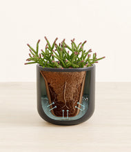 Load image into Gallery viewer, Stone Black stand:all
