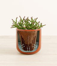 Load image into Gallery viewer, Glossy Red stand:all
