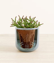 Load image into Gallery viewer, Misty Blue stand:all
