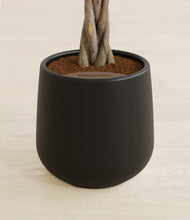 Load image into Gallery viewer, Black stand:all
