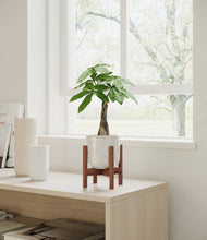 Load image into Gallery viewer, Hammered Ivory stand:walnut
