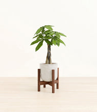 Load image into Gallery viewer, Hammered Ivory stand:walnut
