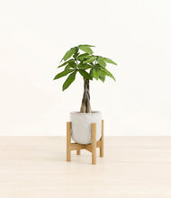 Load image into Gallery viewer, Hammered Ivory stand:bamboo
