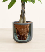 Load image into Gallery viewer, Iron Gray stand:all
