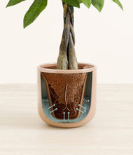 Load image into Gallery viewer, Glossy Pink stand:all
