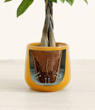 Load image into Gallery viewer, Mustard stand:all
