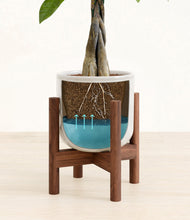 Load image into Gallery viewer, Hammered Ivory stand:walnut
