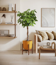 Load image into Gallery viewer, Sunset Orange stand:walnut
