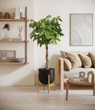 Load image into Gallery viewer, Stone Black stand:bamboo
