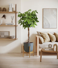 Load image into Gallery viewer, Iron Gray stand:bamboo

