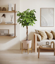 Load image into Gallery viewer, Sandy Pink stand:bamboo
