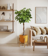 Load image into Gallery viewer, Sunset Orange stand:bamboo
