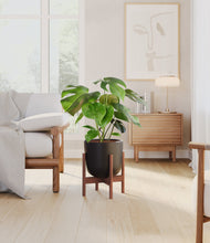 Load image into Gallery viewer, Stone Black stand:walnut
