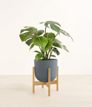 Load image into Gallery viewer, Iron Gray stand:bamboo
