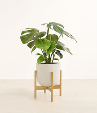 Load image into Gallery viewer, Natural Bamboo stand:bamboo
