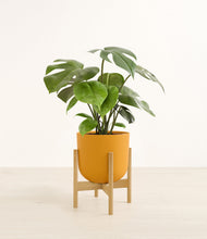 Load image into Gallery viewer, Sunset Orange stand:bamboo
