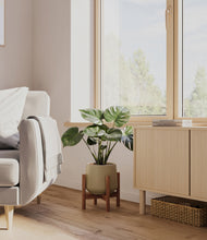 Lade das Bild in den Galerie-Viewer, Olive stand:dark
