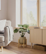 Lade das Bild in den Galerie-Viewer, Olive stand:light
