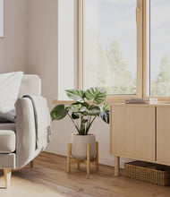 Lade das Bild in den Galerie-Viewer, Eternal Gray stand:light
