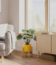 Lade das Bild in den Galerie-Viewer, Mustard stand:light
