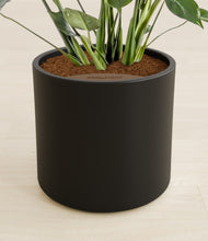 Lade das Bild in den Galerie-Viewer, Black stand:all
