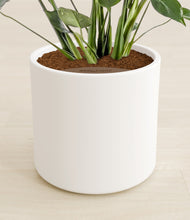 Lade das Bild in den Galerie-Viewer, White stand:all

