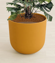 Lade das Bild in den Galerie-Viewer, Sunset Orange stand:all

