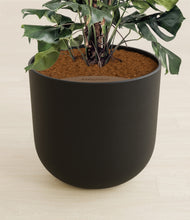 Lade das Bild in den Galerie-Viewer, Stone Black stand:all
