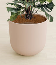 Lade das Bild in den Galerie-Viewer, Sandy Pink stand:all
