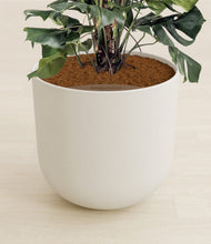 Lade das Bild in den Galerie-Viewer, Natural Bamboo stand:all
