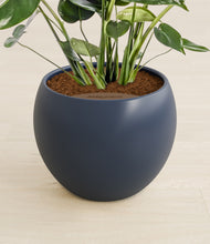 Lade das Bild in den Galerie-Viewer, Deep Navy stand:all
