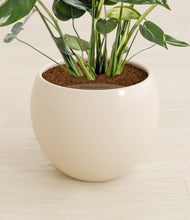 Lade das Bild in den Galerie-Viewer, Shiny EggWhite stand:all
