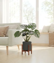 Lade das Bild in den Galerie-Viewer, Dark Olive stand:dark
