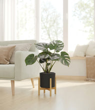 Lade das Bild in den Galerie-Viewer, Black stand:light
