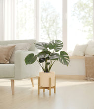Lade das Bild in den Galerie-Viewer, Cream stand:light
