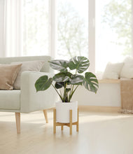 Lade das Bild in den Galerie-Viewer, White stand:light
