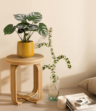 Lade das Bild in den Galerie-Viewer, Mustard

