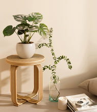 Lade das Bild in den Galerie-Viewer, Shiny EggWhite
