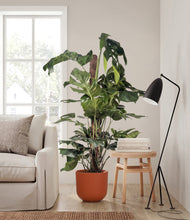 Lade das Bild in den Galerie-Viewer, Earth Red stand:all
