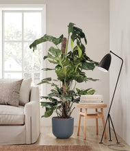 Lade das Bild in den Galerie-Viewer, Iron Gray stand:all
