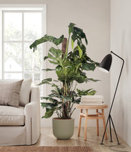 Lade das Bild in den Galerie-Viewer, Sage Green stand:all

