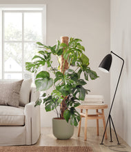 Charger l'image dans la galerie, Sage Green
