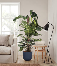 Lade das Bild in den Galerie-Viewer, Sage Green stand:bamboo
