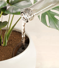Lade das Bild in den Galerie-Viewer, Shiny EggWhite stand:all
