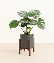 Lade das Bild in den Galerie-Viewer, Dark Olive stand:dark
