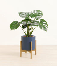 Lade das Bild in den Galerie-Viewer, Deep Navy stand:light
