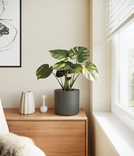 Lade das Bild in den Galerie-Viewer, Dark Olive
