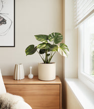 Lade das Bild in den Galerie-Viewer, Cream
